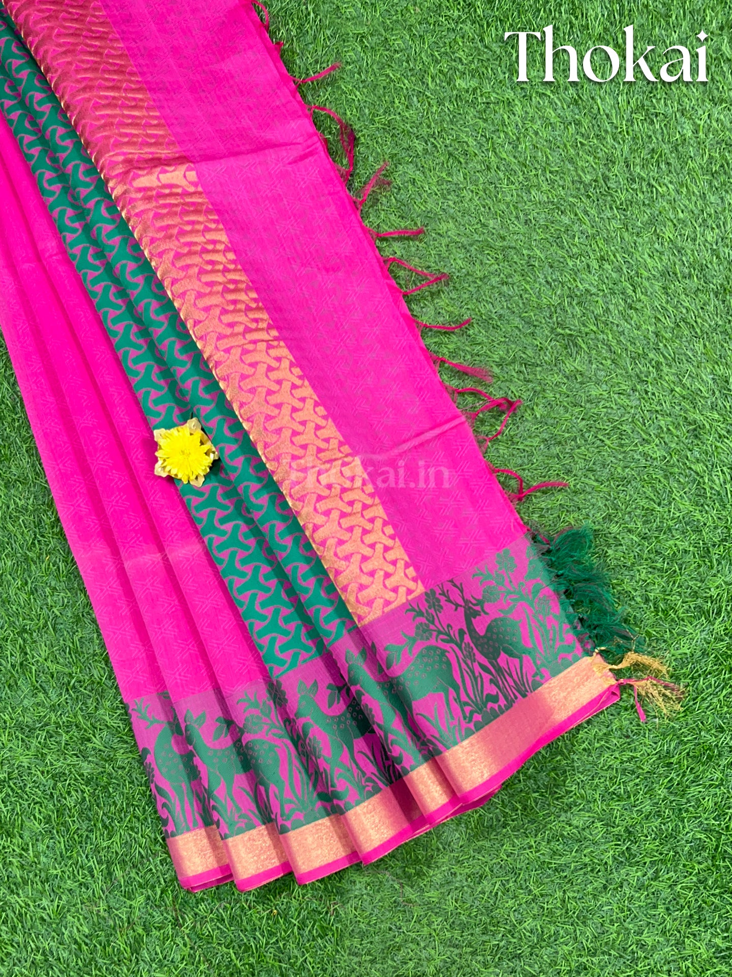 Pink and turquoise chanderi silk cotton saree